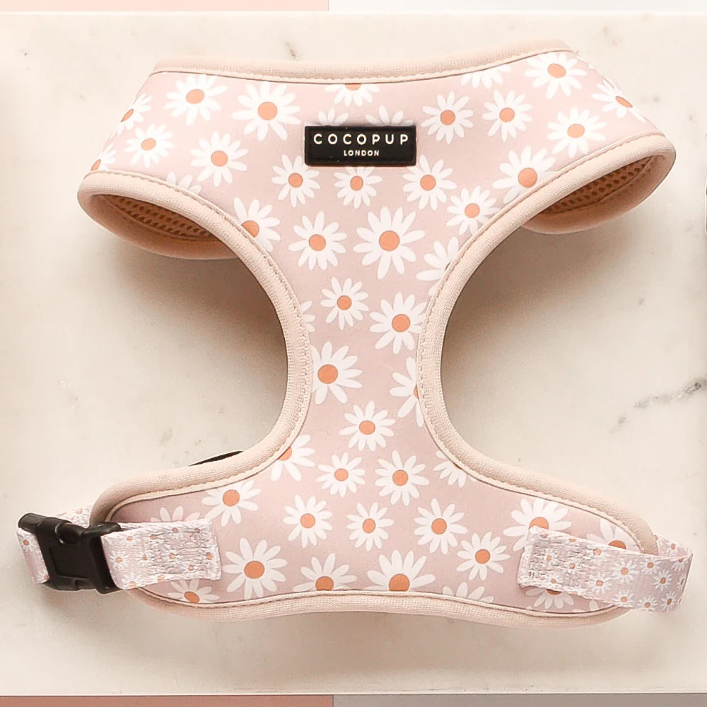 Cocopup London Adjustable Neck Harness Daisy Chain Ships from Australia
