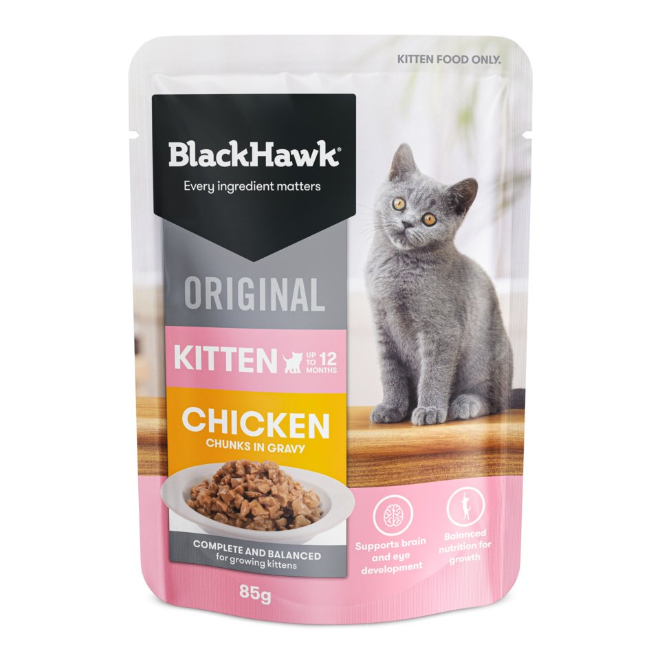 Black Hawk Pouches Kitten Ships from Australia