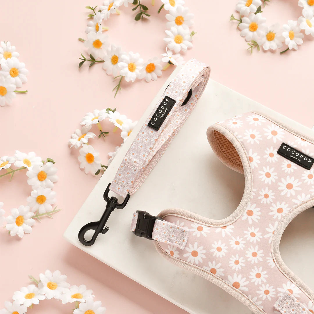Cocopup London Dog Lead Daisy Chain Ships from Australia