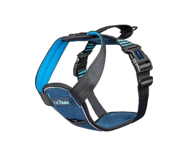 Dog Harnesses and Car Restraints
