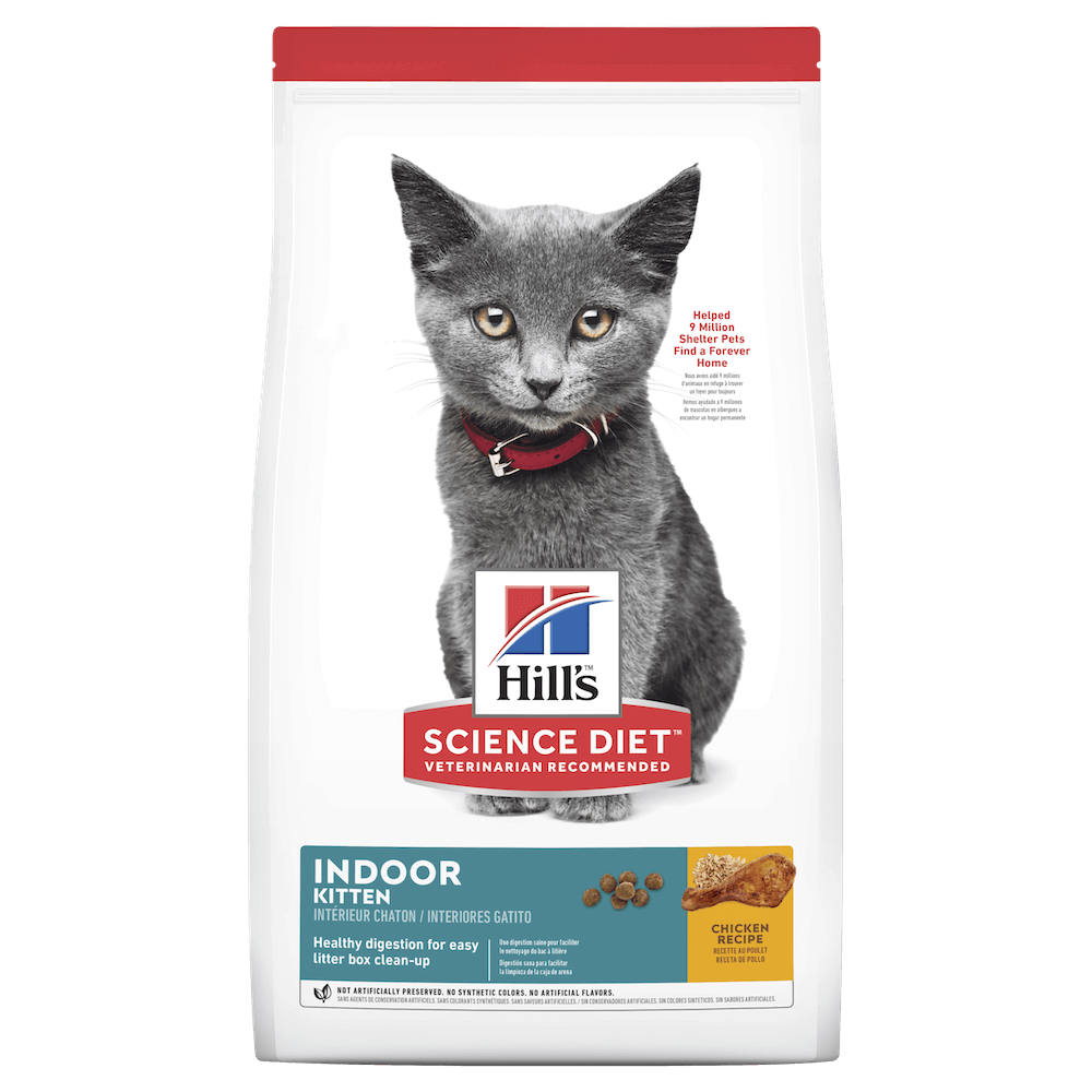 Cat Kitten Food