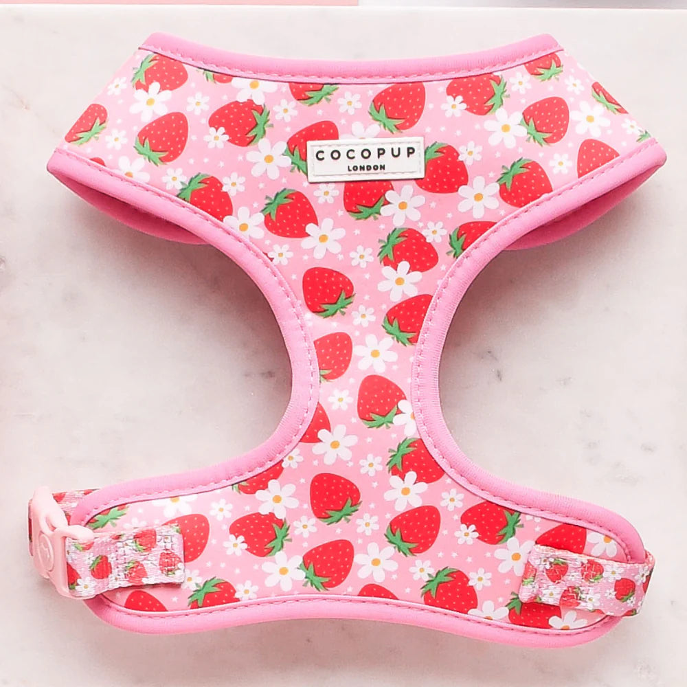 Cocopup London Adjustable Neck Harness Pupberry Fields Ships from Australia