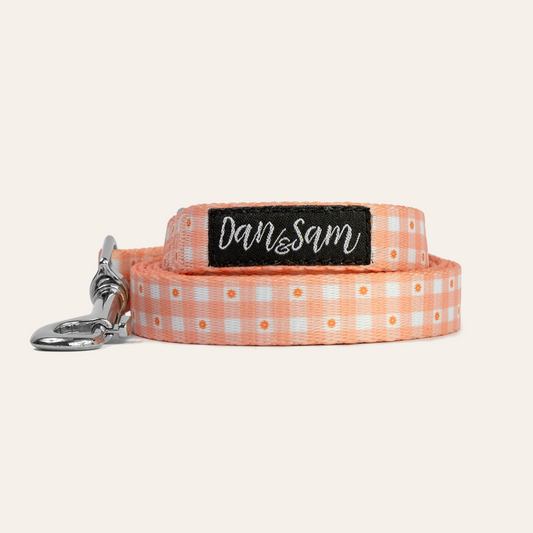 Dan & Sam Dog Lead Daisy Picnic AU Owned