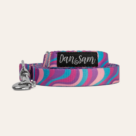 Dan & Sam Dog Lead Disco Party AU Owned
