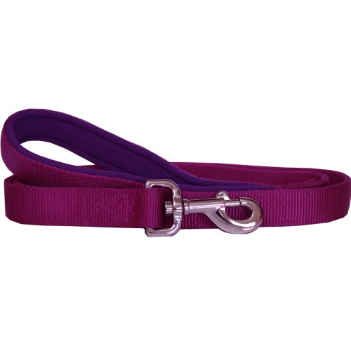Beau Pets Neoprene Handle Nylon Lead Purple AU Owned