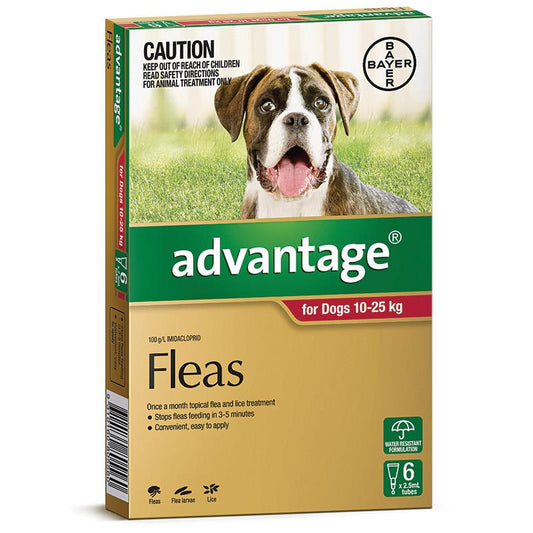 Advantage - Fleas - Dogs 10kg to 25kg