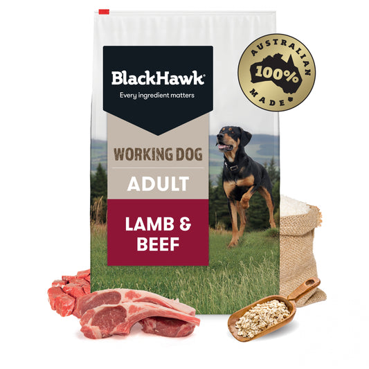 Black Hawk Working Dog Lamb & Beef Ships from Australia
