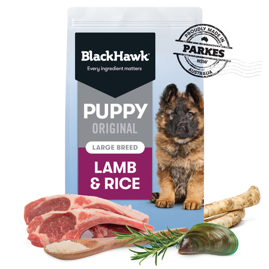 Black Hawk Puppy Large Breed Lamb & Rice Ships from Australia