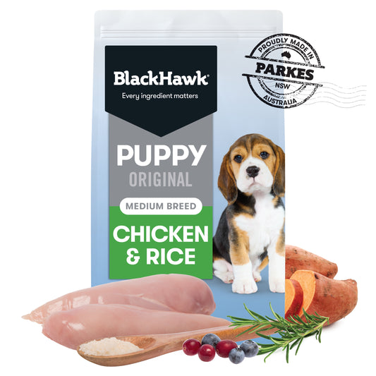 Black Hawk Puppy Medium Breed Chicken & Rice Ships from Australia