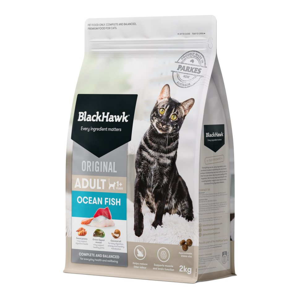 Black Hawk Adult Cat Ocean Fish Ships from Australia