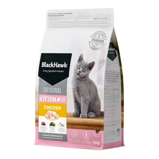 Black Hawk Kitten Chicken Ships from Australia