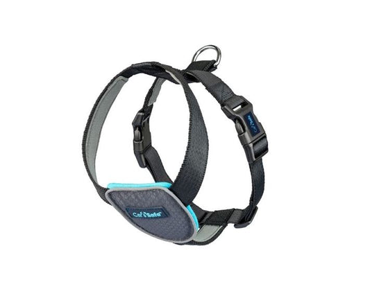 CarSafe Travel Harness Black Ships from Australia