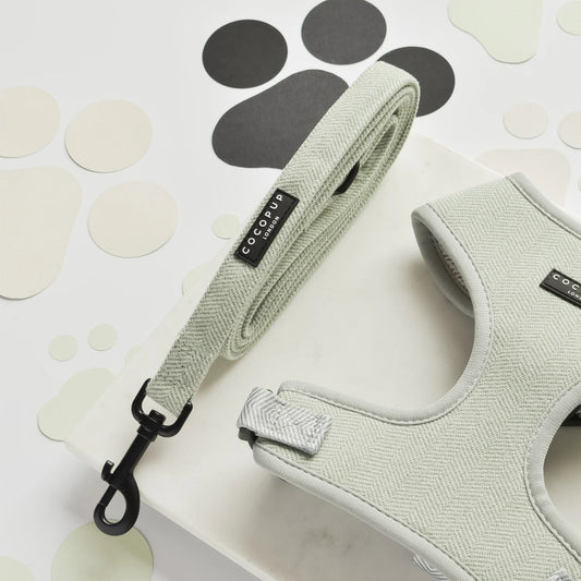 Cocopup London Dog Lead Sage Tweed Ships from Australia