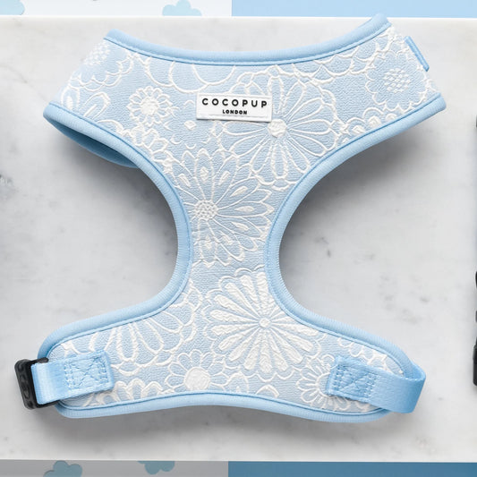 Cocopup London LUXE Adjustable Neck Harness Baby Blue Flower Ships from Australia