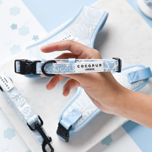 Cocopup London LUXE Dog Collar Baby Blue Flower Ships from Australia