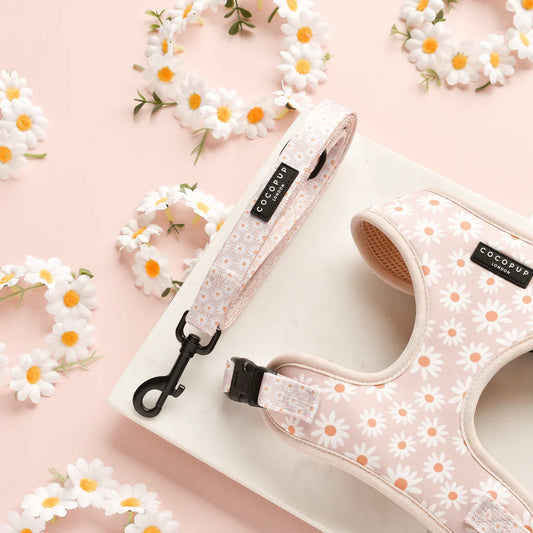 Cocopup London Dog Lead Daisy Chain Ships from Australia