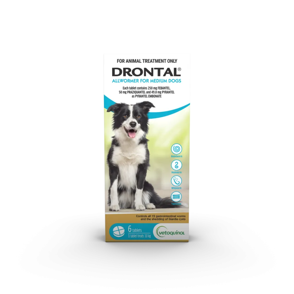 Drontal - Allwormer