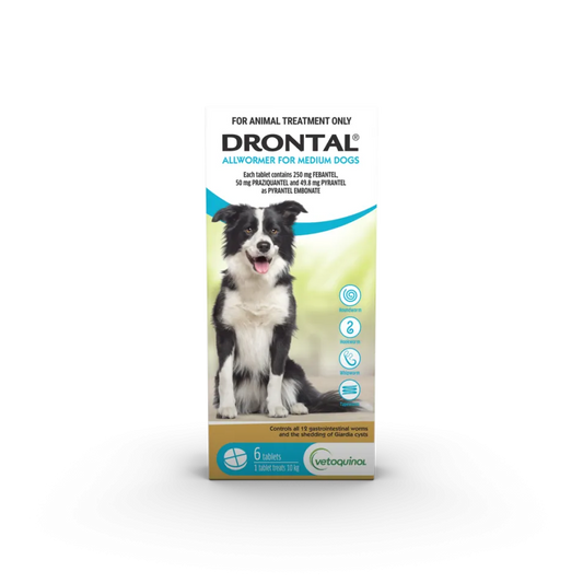 Drontal - Allwormer