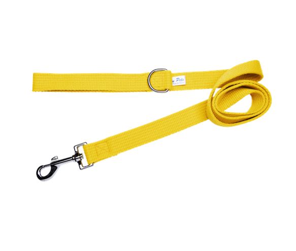 Beau Pets Webbing Lead Gold AU Owned