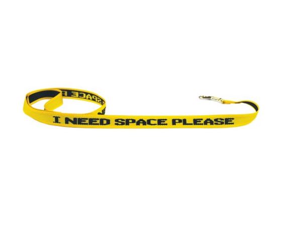 Beau Pets I Need Space Please Lead AU Owned