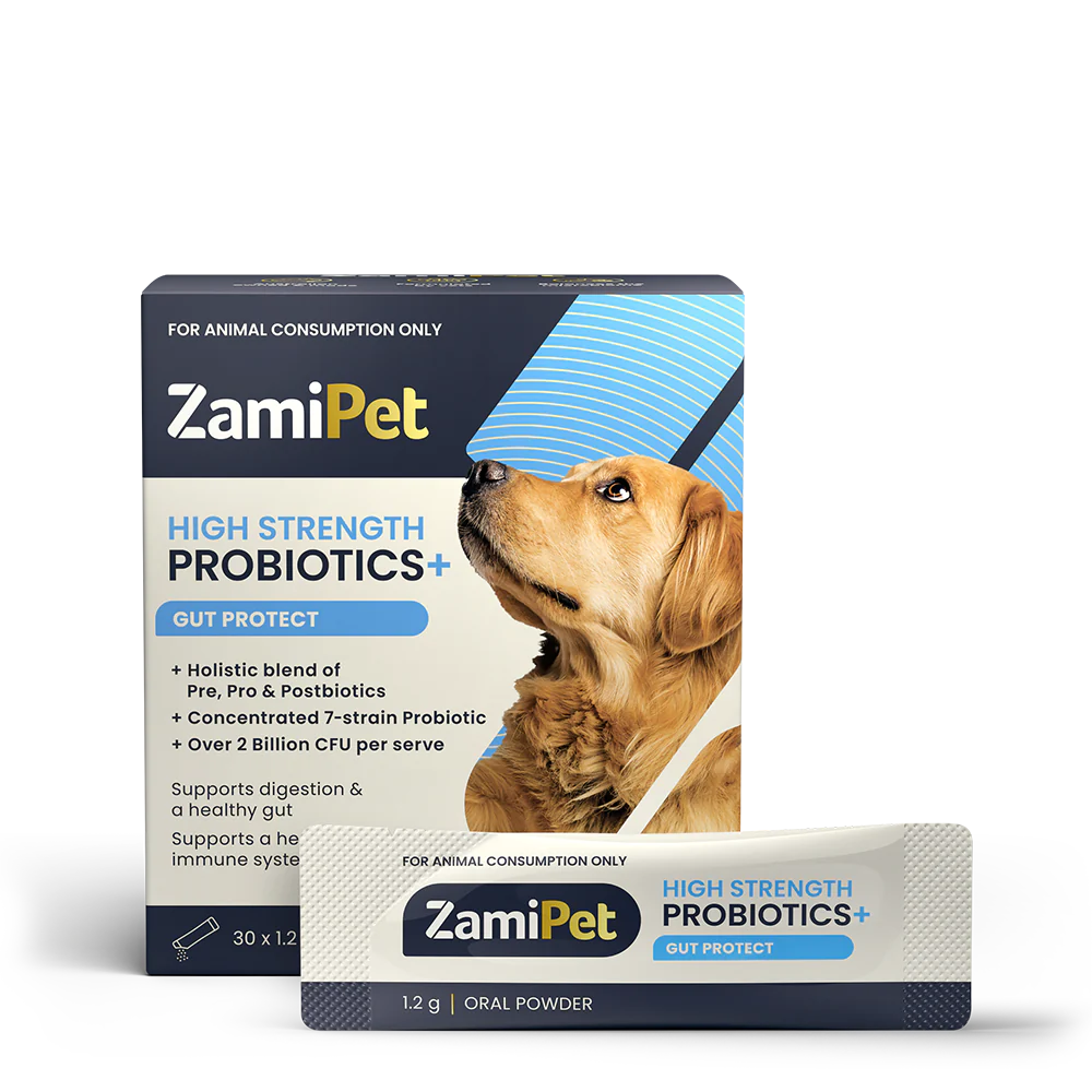 ZamiPet - High Strength Probiotics+