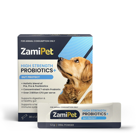ZamiPet - High Strength Probiotics+