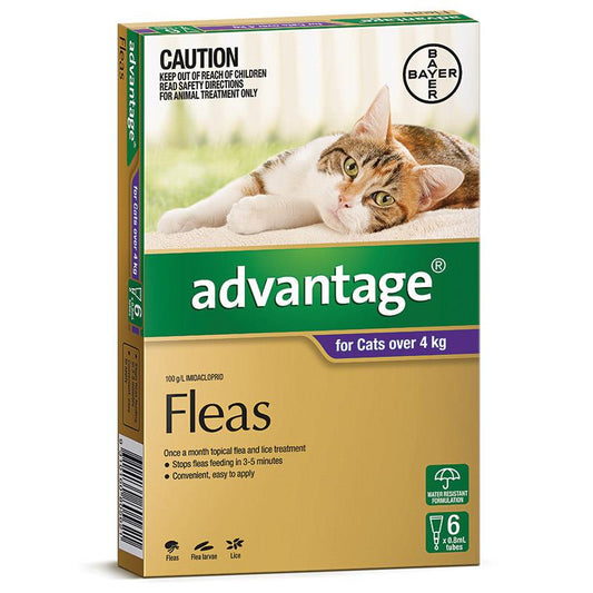 Advantage - Fleas - Cats over 4kg