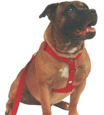 Beau Pets Walking Harness Black AU Owned
