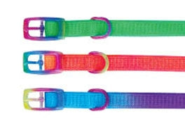 Beau Pets Puppy Collar Rainbow AU Owned